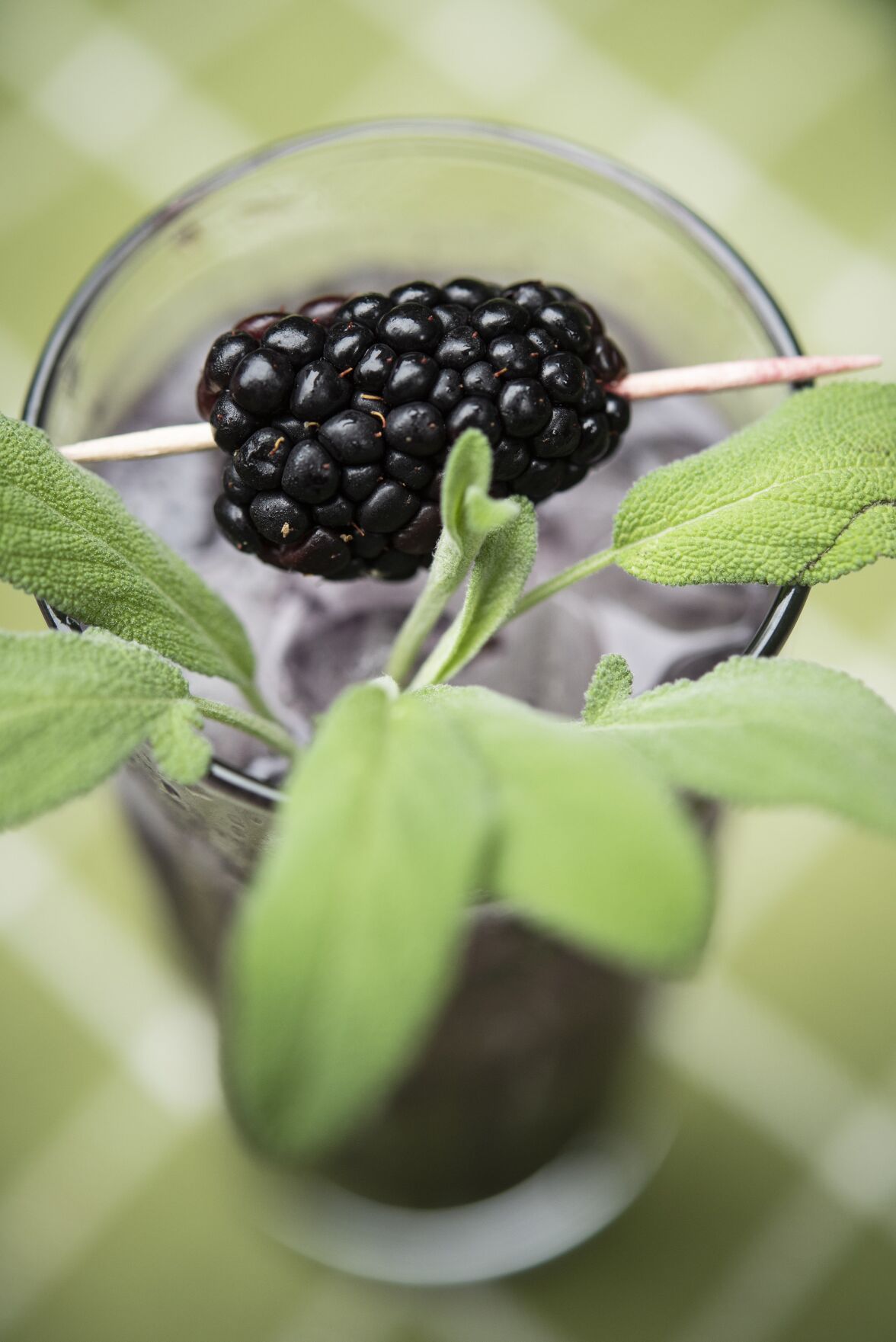 Gin tonic Hastings Summer Drinks Blackberry